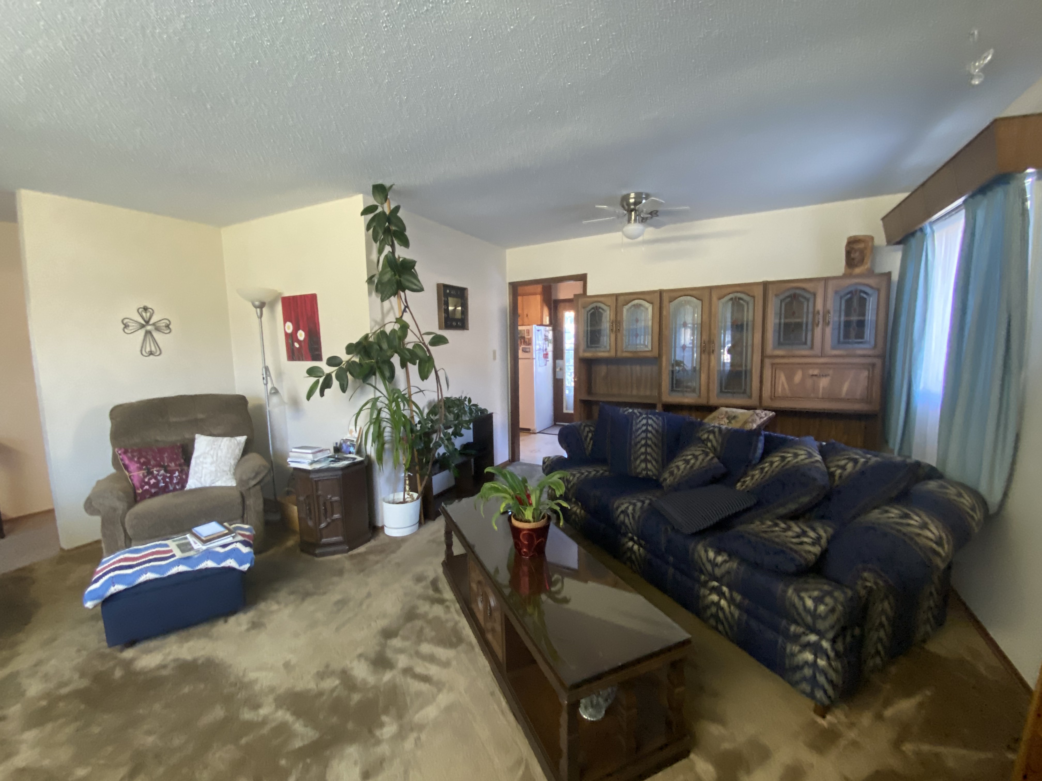 Lark main living area before renovation